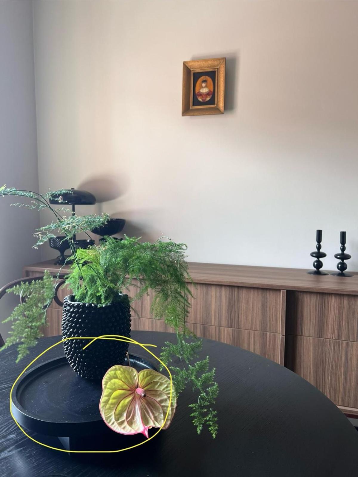 Entu Apartamenty Odrzanska Wrocław Zewnętrze zdjęcie